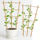 Tutor de Bambu para Plantas 60 cm